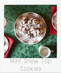 Mint_Snow_Tops_12