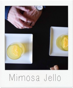 Mimosa_Jello_12